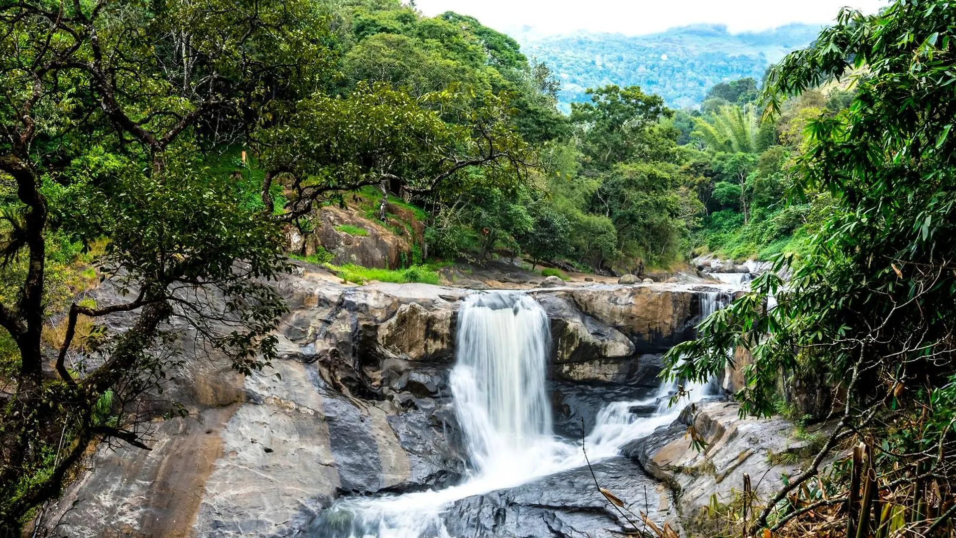 Отель The Cascade Munnar Anachal 3*,  Индия