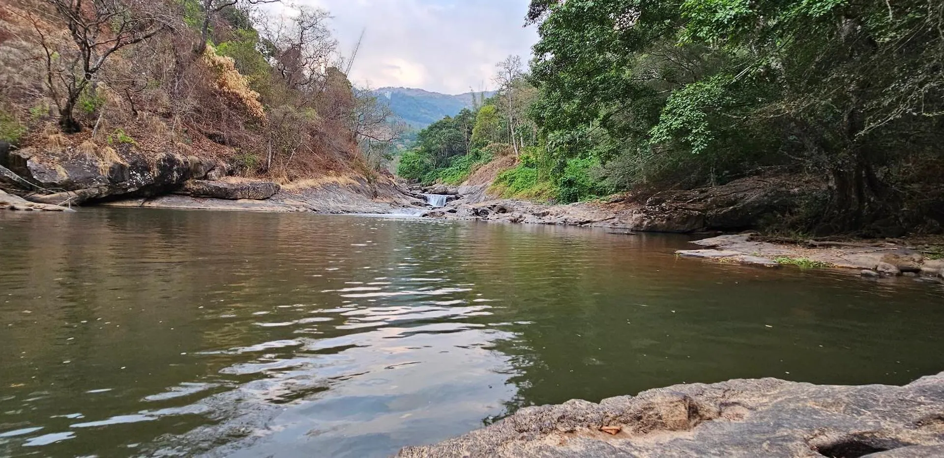 The Cascade Munnar 호텔 Anachal