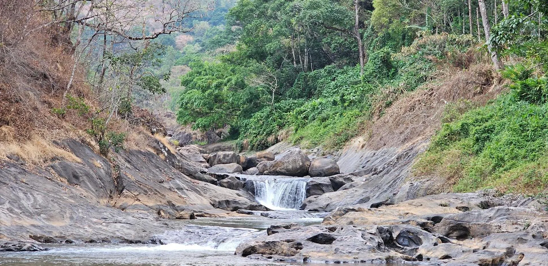 The Cascade Munnar 호텔 Anachal