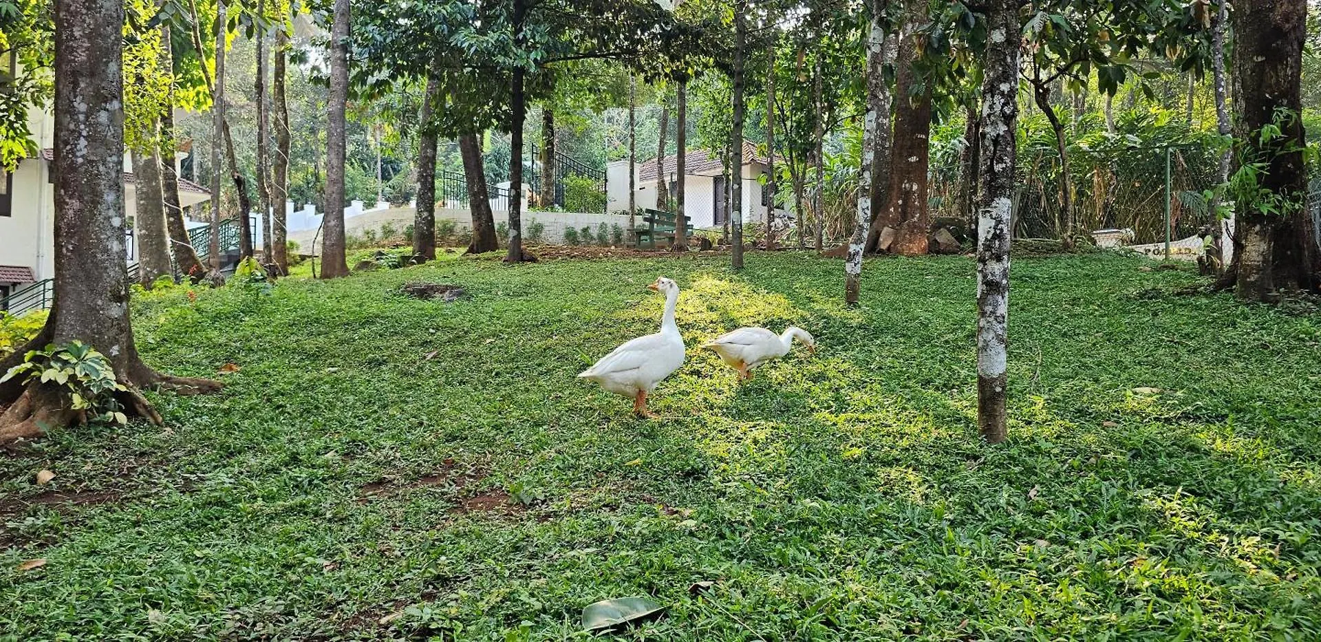 The Cascade Munnar 호텔 Anachal 인도